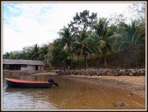 В поисках уединения. Январь 2013: El Nido-Malcapuya-Chindonan Island-Bohol (Anda+Panglao)