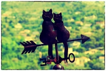 Евротур: Голландия-Бельгия-Франция (и не только), (много фото)