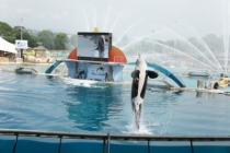 Большое путешествие по Европе с отдыхом на море