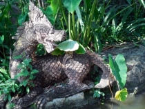 Месяц в Тае. Чианг Май - Ангкор - Ко Чанг