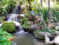 Месяц в Тае. Чианг Май - Ангкор - Ко Чанг