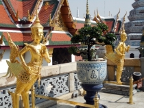 Месяц в Тае. Чианг Май - Ангкор - Ко Чанг