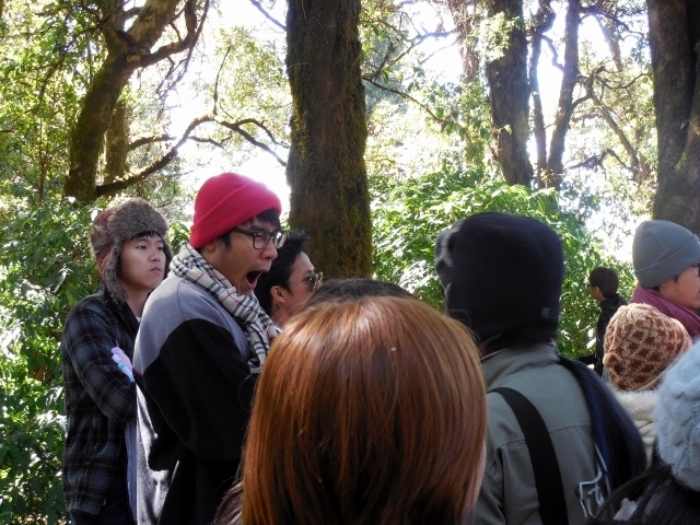 Месяц в Тае. Чианг Май - Ангкор - Ко Чанг