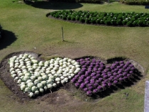 Месяц в Тае. Чианг Май - Ангкор - Ко Чанг