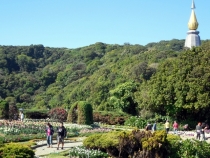 Месяц в Тае. Чианг Май - Ангкор - Ко Чанг