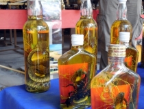 Месяц в Тае. Чианг Май - Ангкор - Ко Чанг