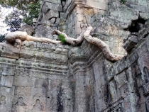 Месяц в Тае. Чианг Май - Ангкор - Ко Чанг