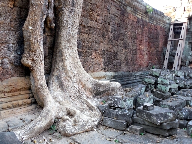 Месяц в Тае. Чианг Май - Ангкор - Ко Чанг