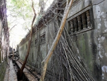 Месяц в Тае. Чианг Май - Ангкор - Ко Чанг