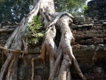 Месяц в Тае. Чианг Май - Ангкор - Ко Чанг