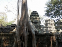 Месяц в Тае. Чианг Май - Ангкор - Ко Чанг