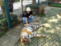 Месяц в Тае. Чианг Май - Ангкор - Ко Чанг