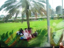 ОАЭ. Дубай-Лива-Абу Даби. Октябрь 2012 г. Эмоциональные перепады.