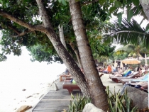 Месяц в Тае. Чианг Май - Ангкор - Ко Чанг