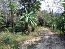 Месяц в Тае. Чианг Май - Ангкор - Ко Чанг