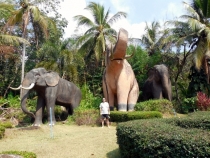 Месяц в Тае. Чианг Май - Ангкор - Ко Чанг