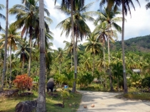 Месяц в Тае. Чианг Май - Ангкор - Ко Чанг