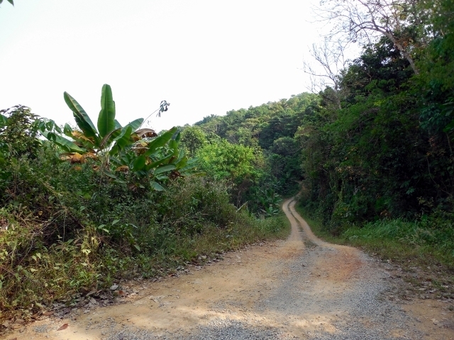 Месяц в Тае. Чианг Май - Ангкор - Ко Чанг