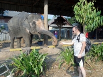 Месяц в Тае. Чианг Май - Ангкор - Ко Чанг