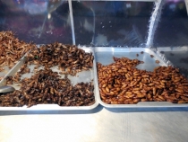 Месяц в Тае. Чианг Май - Ангкор - Ко Чанг