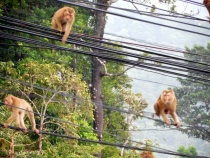 Месяц в Тае. Чианг Май - Ангкор - Ко Чанг