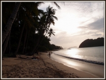 В поисках уединения. Январь 2013: El Nido-Malcapuya-Chindonan Island-Bohol (Anda+Panglao)