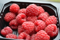 Языковой барьер. С квадратными глазами по Норвегии.