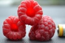 Языковой барьер. С квадратными глазами по Норвегии.