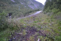 Языковой барьер. С квадратными глазами по Норвегии.