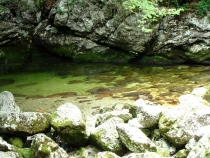 Водопады Савицы 2008