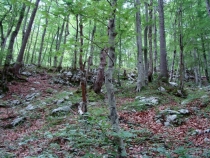 Водопады Савицы 2008