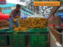Там, где не ступала нога белого человека. Борнео. Кучинг. Там, где не ступала нога белого человека. Борнео. Кучинг.