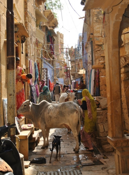 Краткий отчет. Раджастан-Агра-Орчча-Варанаси в феврале. Много фото