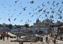 Краткий отчет. Раджастан-Агра-Орчча-Варанаси в феврале. Много фото