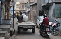 Краткий отчет. Раджастан-Агра-Орчча-Варанаси в феврале. Много фото