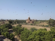 Мьянма (Мандалай, Баган, Янгон) -  Январь 2013 + фото