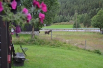 Языковой барьер. С квадратными глазами по Норвегии.