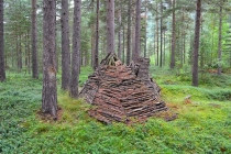 Языковой барьер. С квадратными глазами по Норвегии.