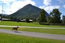 Языковой барьер. С квадратными глазами по Норвегии.