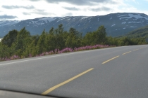 Языковой барьер. С квадратными глазами по Норвегии.