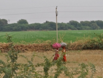 Краткий отчет. Раджастан-Агра-Орчча-Варанаси в феврале. Много фото