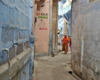 Краткий отчет. Раджастан-Агра-Орчча-Варанаси в феврале. Много фото