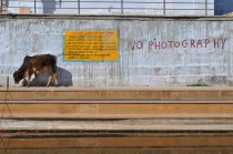 Краткий отчет. Раджастан-Агра-Орчча-Варанаси в феврале. Много фото