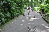 ГК-Сингапур-Бали-Гили-Бали-КЛ-ГК!!! (Фотоотчет февраль 2013)