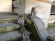 ГК-Сингапур-Бали-Гили-Бали-КЛ-ГК!!! (Фотоотчет февраль 2013)