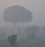 Краткий отчет. Раджастан-Агра-Орчча-Варанаси в феврале. Много фото