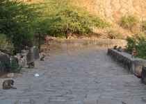 Краткий отчет. Раджастан-Агра-Орчча-Варанаси в феврале. Много фото