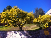 Côte d'Azur – Французская Ривьера: Марсель-Ницца-Эз-Монако