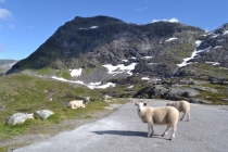 Языковой барьер. С квадратными глазами по Норвегии.