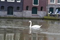 Сургут-Рим, 2011.Сургут-Париж, 2012.